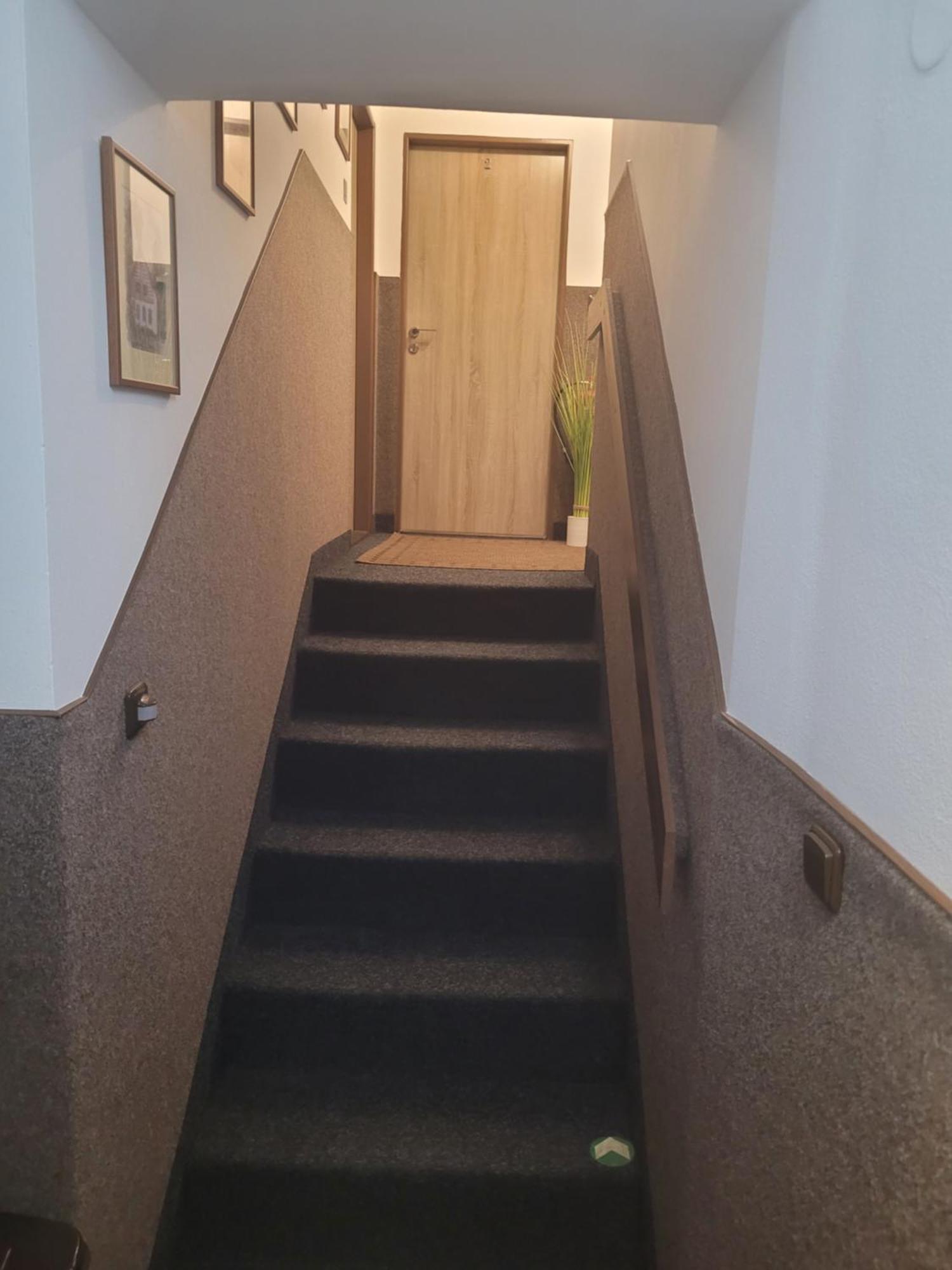 Pension Relax U Komina Frantiskovy Lazne Exterior photo